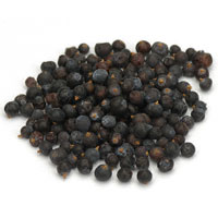 Juniper Berry 1 Oz.(Juniperus communis)